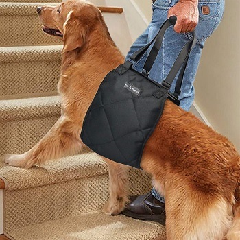 A dog lift-harness
