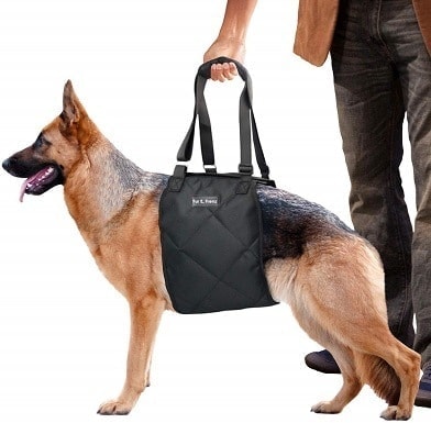 best dog lift harness