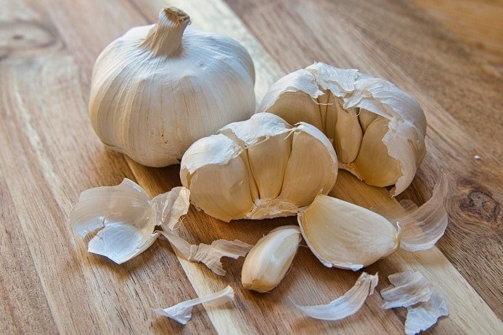 Garlic