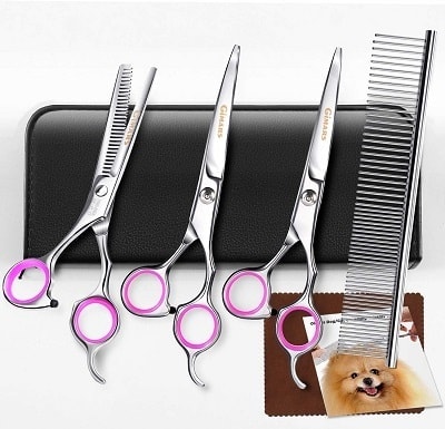 10 Best Dog Grooming Shears & Scissors in 2023 - Reviews & Top Picks |  Hepper