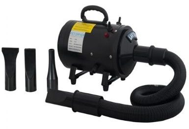 best dog blower