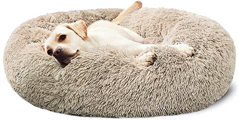 calming bed dog