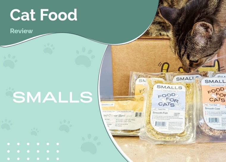 Smalls Cat Food Review 2024 VetApproved Pros, Cons, & Verdict Hepper