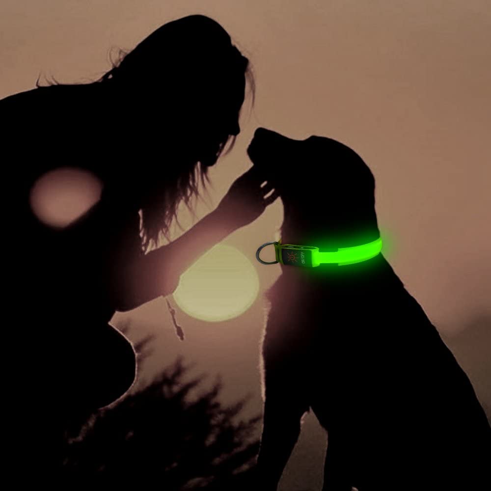 HiGuard LED Dog Collar, USB Rechargeable Glowing Pet Collar