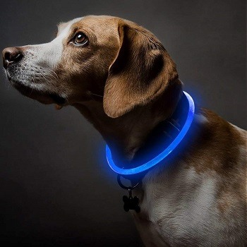 Higo Led Dog Collar,