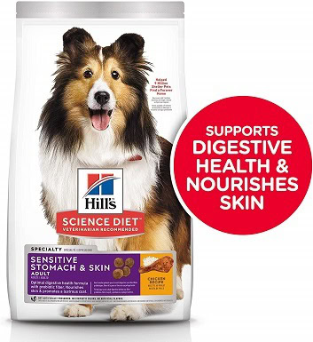 best dog food for senior dogs with sensitive stomach