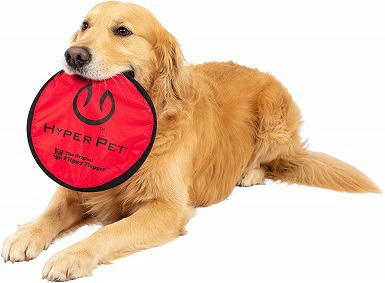 most durable dog frisbee