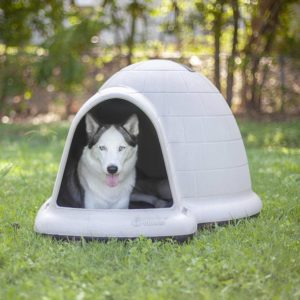Indigo Dog House-Petmate-Amazon
