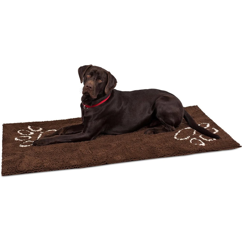 10 Best Doormats for Dogs 2024 Reviews & Top Picks Doggie Designer