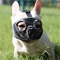 extra small muzzle for chihuahua