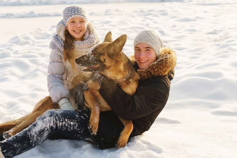 Joyful teens with lovely pet German Shepherd