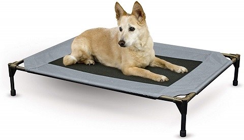 35 Inches Niubya Outdoor Dog Bed with Canopy Outside Portable Cooling Raised Pet Cot for Dogs and Cats Brown Elevated Dog Bed with Removable Canopy Shade 