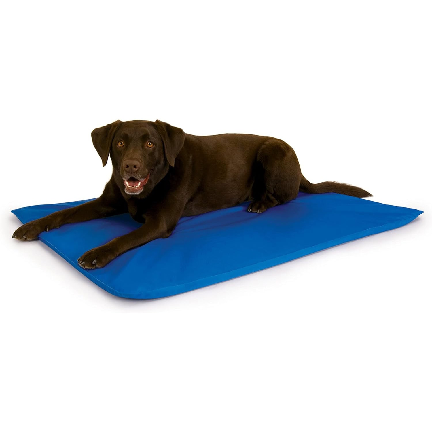 9 Best Dog Cooling Mats & Pads in 2024 Reviews & Guide Hepper