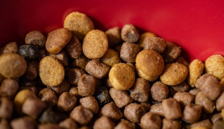 Kibble