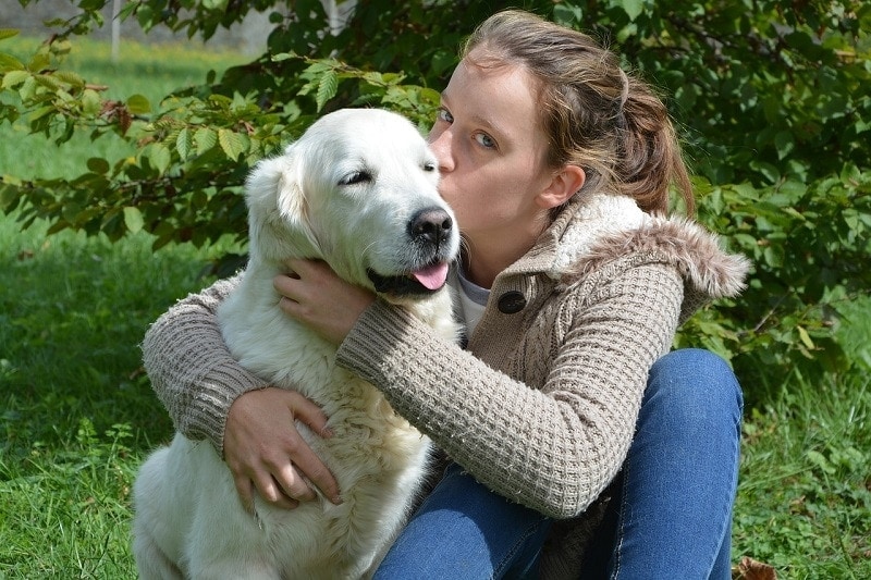 what does it mean when dogs kiss you