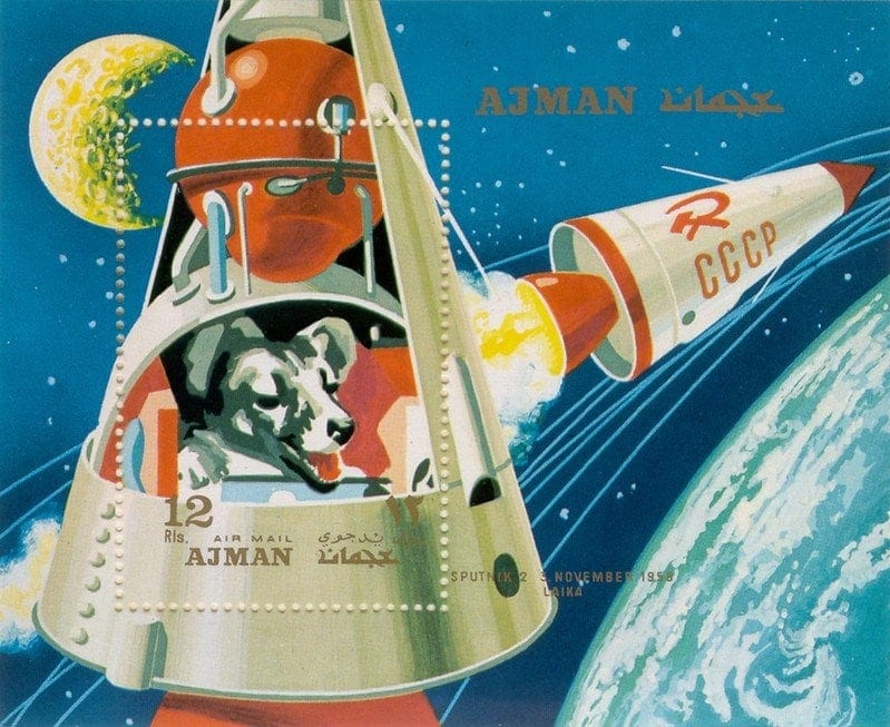 laika russian space dog