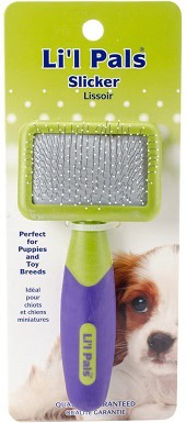 best brush for pug shedding