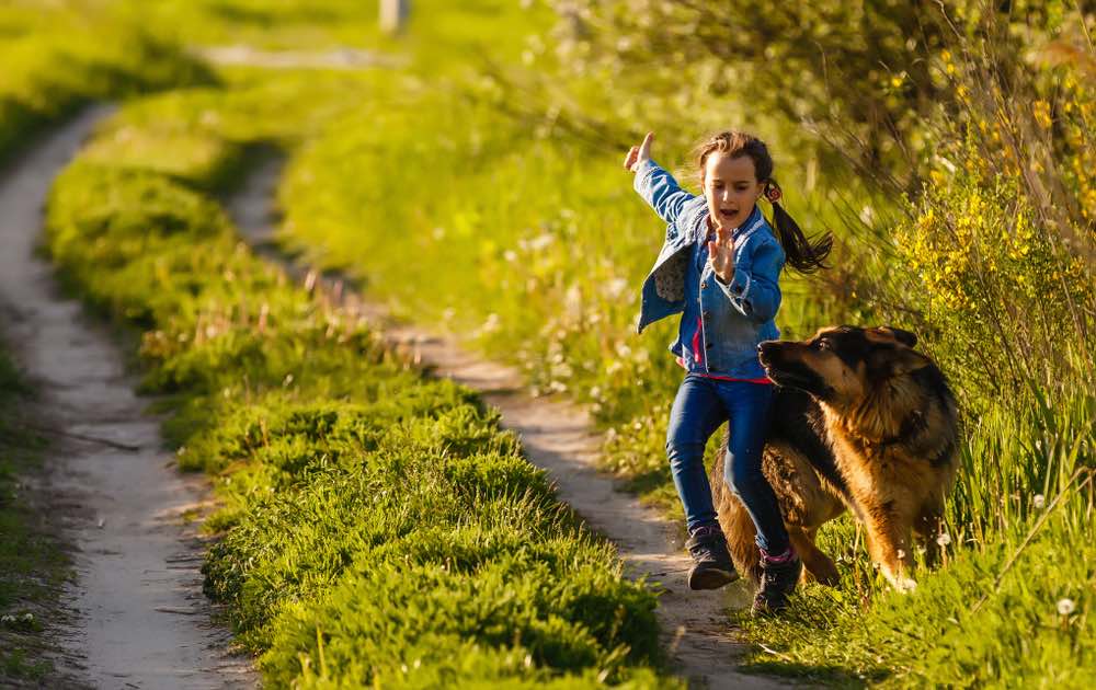 Little girl scared by dog