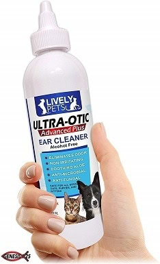 non prescription ear infection medicine for dogs