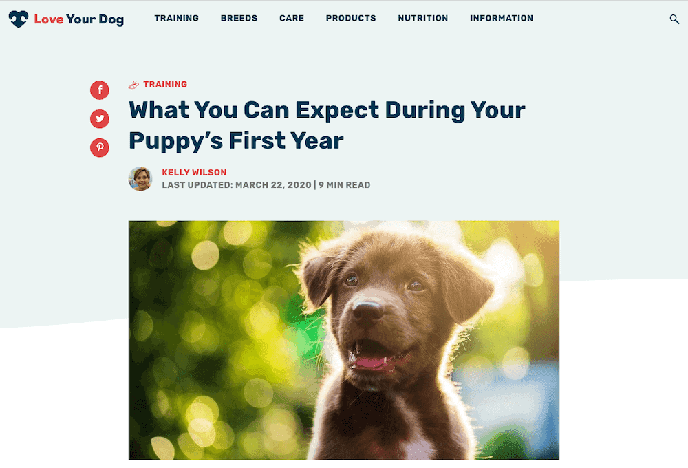 Love Your Dog blog