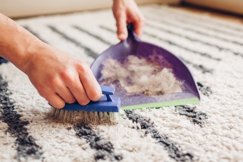 Man cleans dirty rug