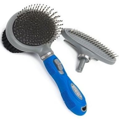 different types of dog brushes