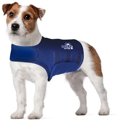 MLB Chicago Cubs Dog Anxiety Shirt Calming Soothing Solution Vest, for Dogs  & Cats with Anxiety, Fears, Fireworks, Loud Noises, Dark, Lonely Keeps