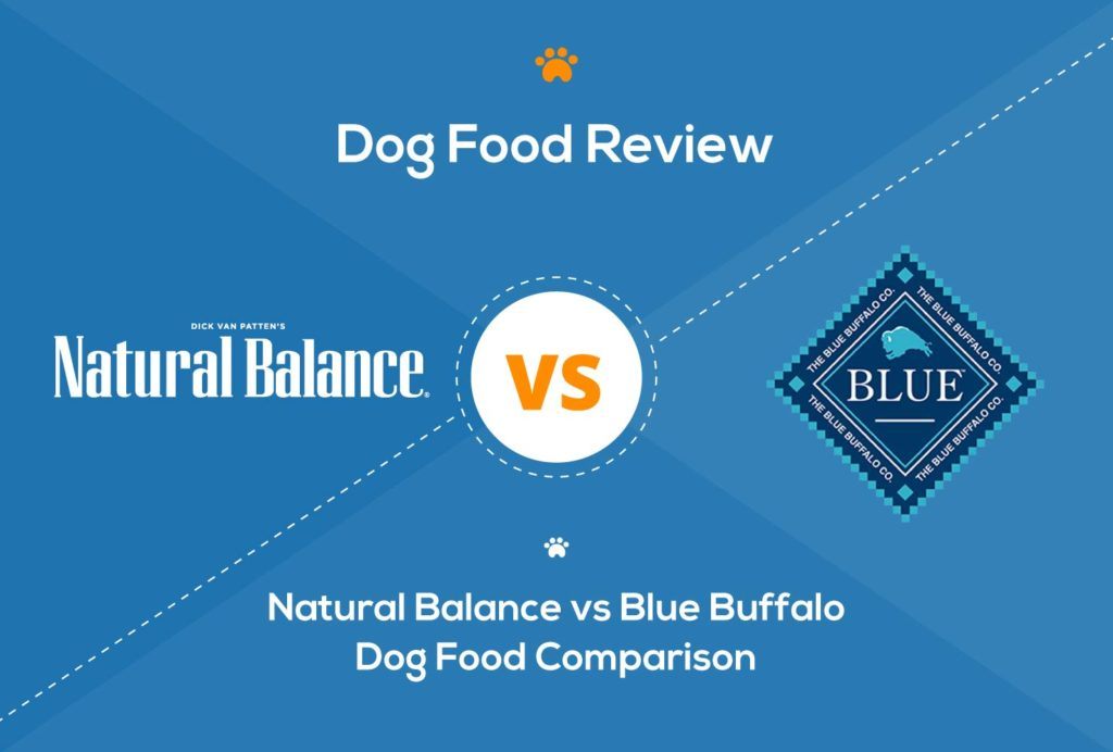 Natural Balance vs Blue Buffalo Dog Food