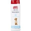 labrador dog shampoo