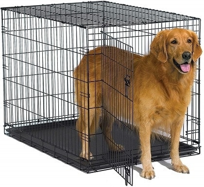 pitbull crate