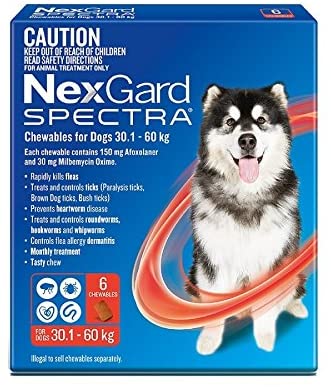 Nexgard spectra discount side effects
