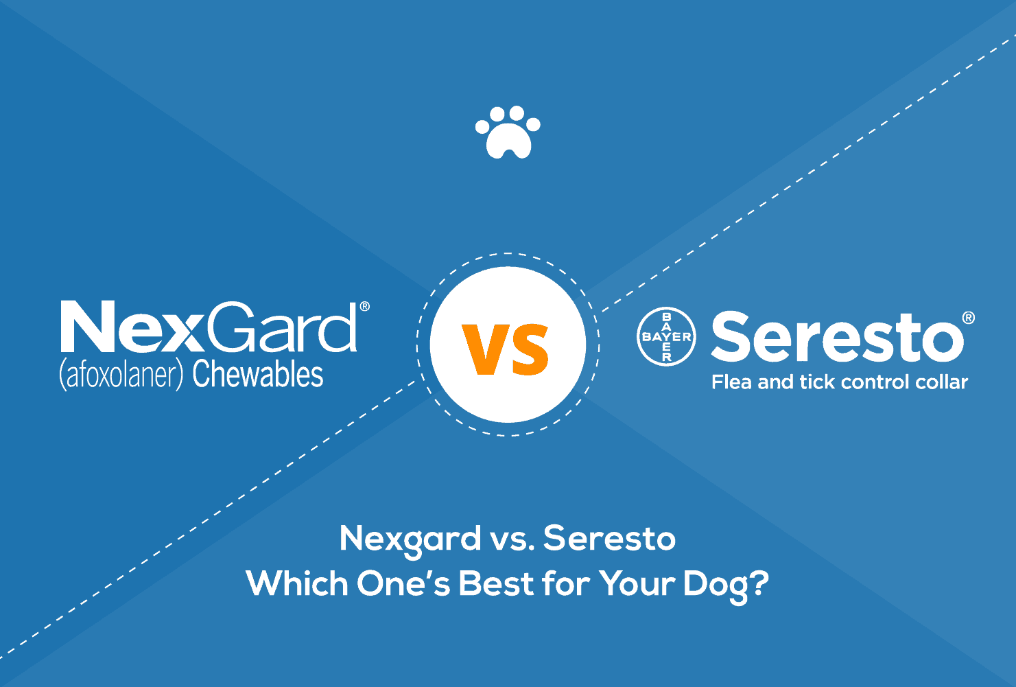 Nexgard vs. Seresto_Header Which is Best for Fleas & Ticks?