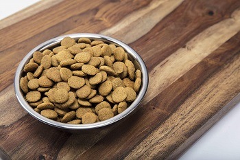 Nutro Core Dry Dog Dog Food