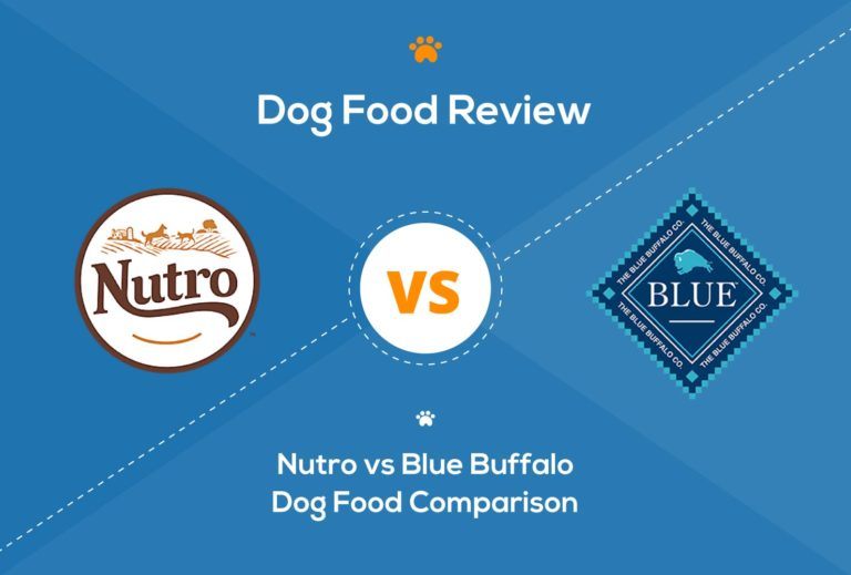 Nutro vs Blue Buffalo Dog Food