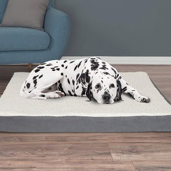 Orthopedic Sherpa Top Pet Bed with Memory Foam and Removable Cover Collection