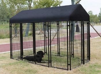 an outdoor dog kennel