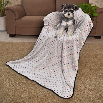 A nice dog blanket