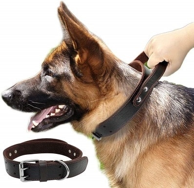 PET ARTIST Genuine Leather Dog Collar for Walking