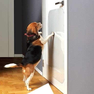 how do i stop my dog from scratching the door