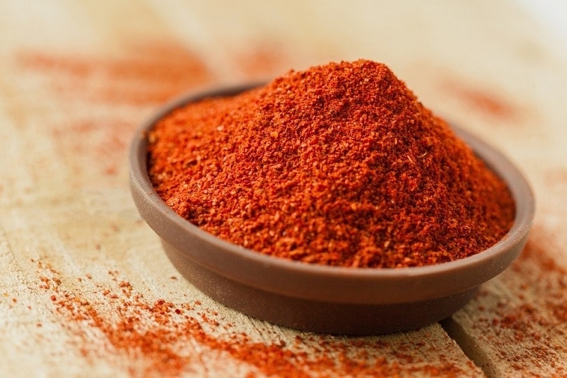 Can Cats Eat Paprika? What You Need to Know! Hepper