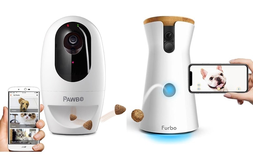 Pawbo and Furbo pet cameras