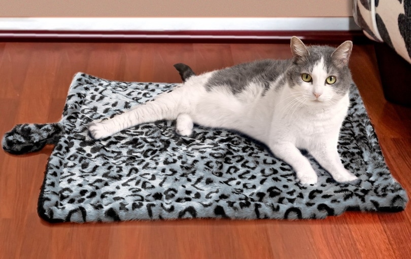 Paws & Pals Leopard Thermal Self Warming cat mat