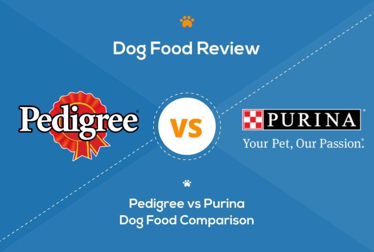 Pedigree vs Purina Dog Food 2022 Comparison Hepper