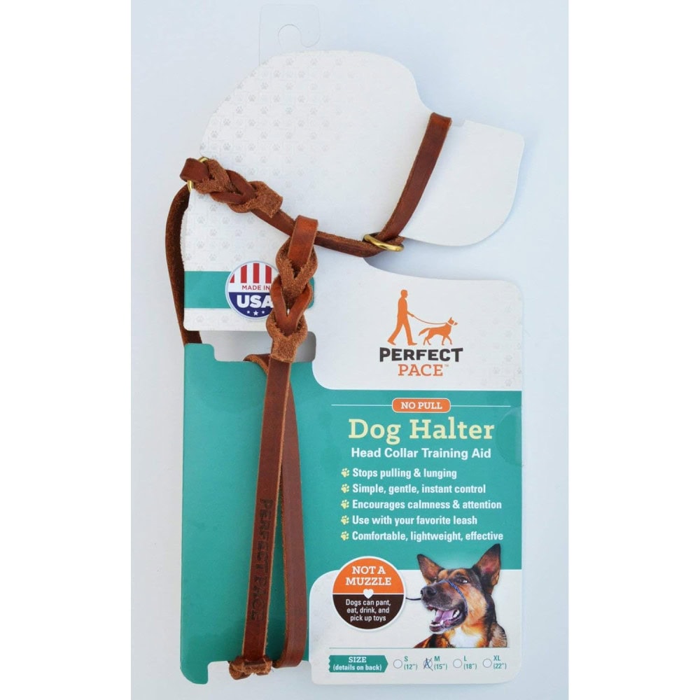 9 Best Dog Head Halters & Gentle Leaders 2024 Reviews & Top Picks