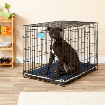 5 Best Indestructible Dog Crate Pads in 2022 - Hepper