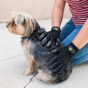 Pet Magasin Grooming Gloves One Size Fit All Works for Dogs