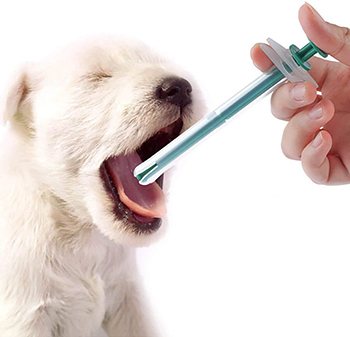 Using a dog pill dispenser