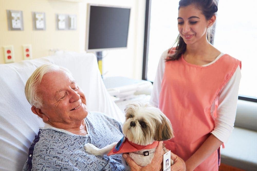 Pet Therapy dog visiting hospital