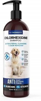dog shampoo odor remover