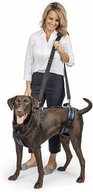 best dog lift harness